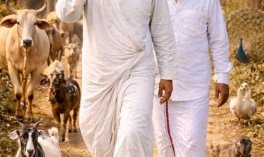 பாதயாத்திரை